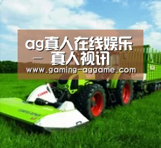 关于AG真人互动