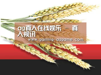 ag真人在线娱乐 - 真人视讯