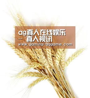 ag真人在线娱乐 - 真人视讯
