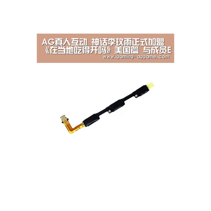 AG官方网站