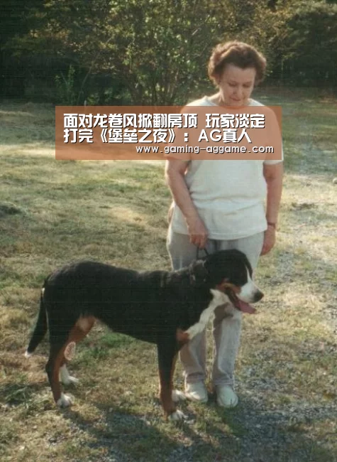 AG真人互动